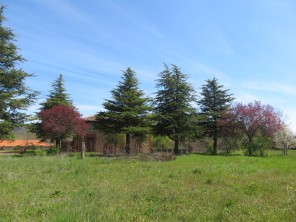 Jardín